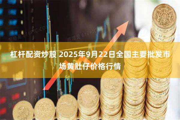杠杆配资炒股 2025年9月22日全国主要批发市场黄肚仔价格行情