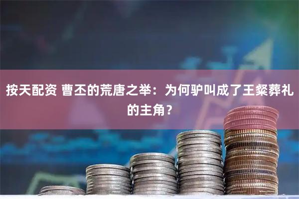按天配资 曹丕的荒唐之举：为何驴叫成了王粲葬礼的主角？